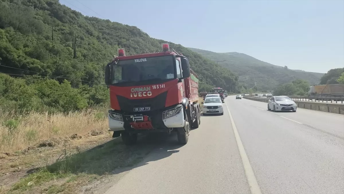 Gemlik'te Zeytinlikte Yangın Çıktı