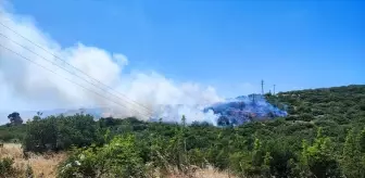 Bursa'da Orman Yangınına Havadan ve Karadan Müdahale