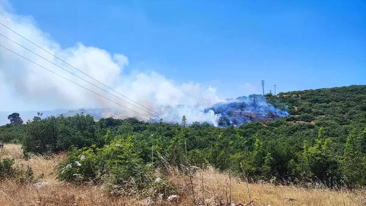 Bursa'da Orman Yangınına Havadan ve Karadan Müdahale