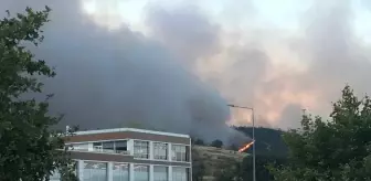 Bursa Gürsu'da Orman Yangınına Müdahale Ediliyor