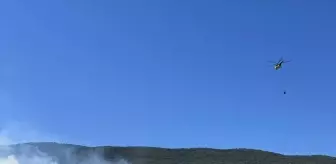 Bursa'nın Yenişehir İlçesinde Orman Yangını