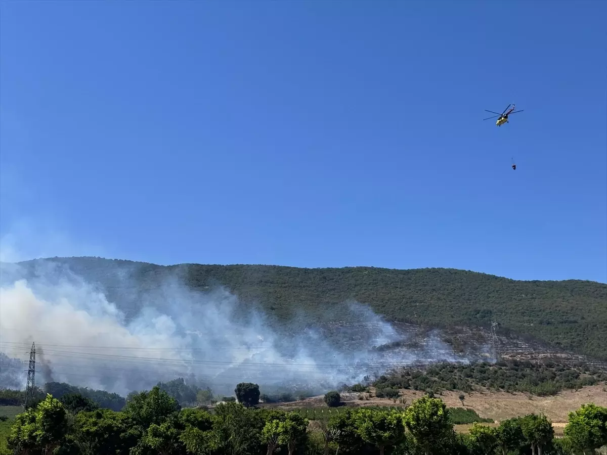 Bursa'nın Yenişehir İlçesinde Orman Yangını