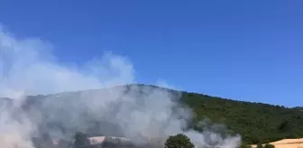 Bursa'da Ormana Sıçrayan Anız Yangınına Müdahale Başlatıldı