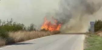 Çanakkale'de Tarım Arazisinde Yangın Çıktı