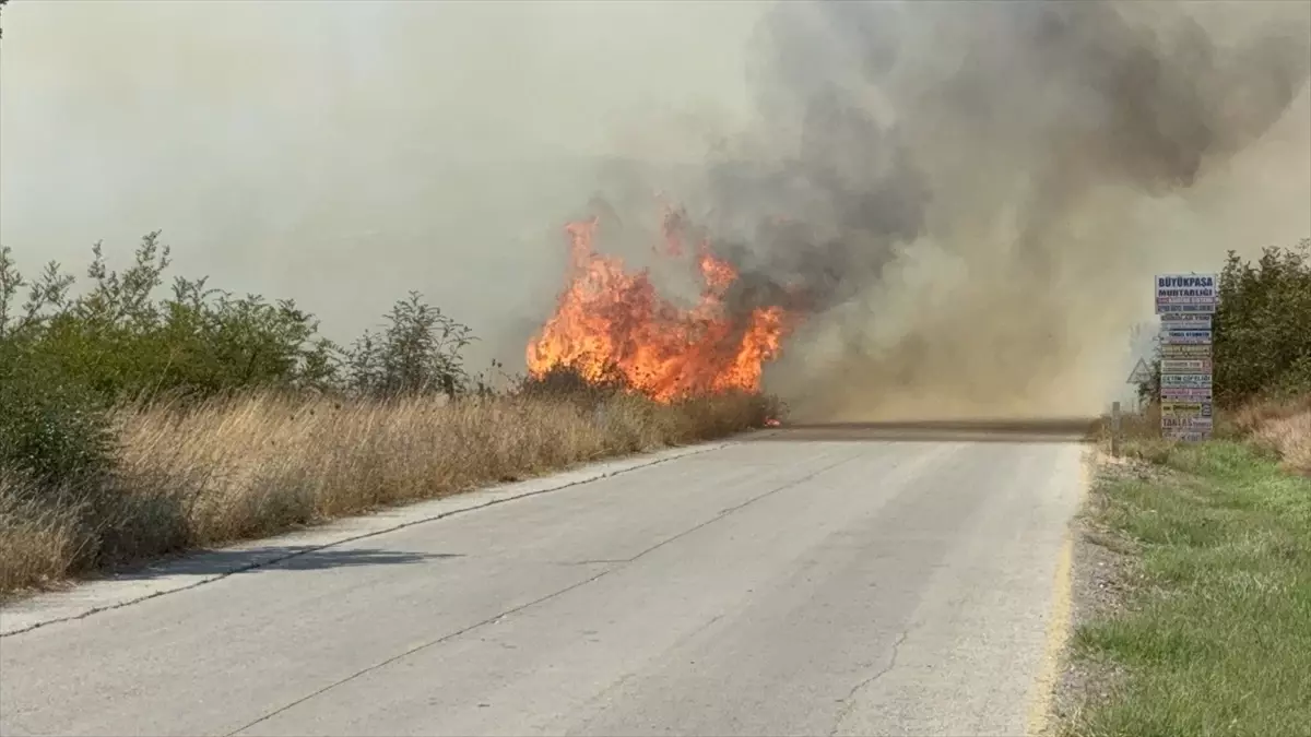 Çanakkale'de Tarım Arazisinde Yangın Çıktı