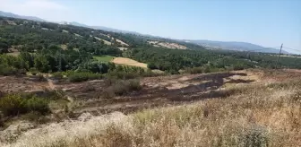 Çanakkale'de Karganın Neden Olduğu Yangın Kontrol Altına Alındı