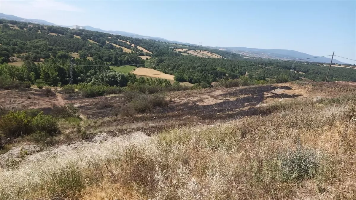 Çanakkale'de Karganın Neden Olduğu Yangın Kontrol Altına Alındı