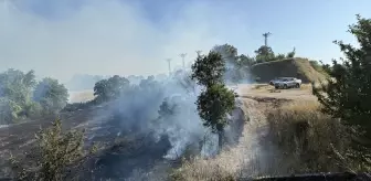 Çanakkale'de Otluk Alanda Yangın Söndürüldü