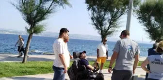 Çanakkale'de akülü engelli aracıyla gezen kişi başıboş köpeklerden korkup direğe çarptı
