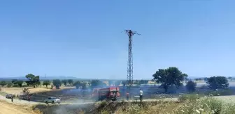 Çanakkale'de Zirai Alan Yangını Kontrol Altına Alındı