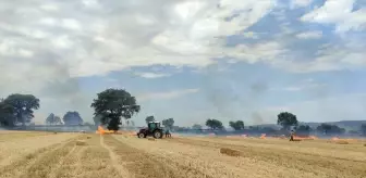 Çanakkale'de Zirai Alanda Yangın Kontrol Altına Alındı