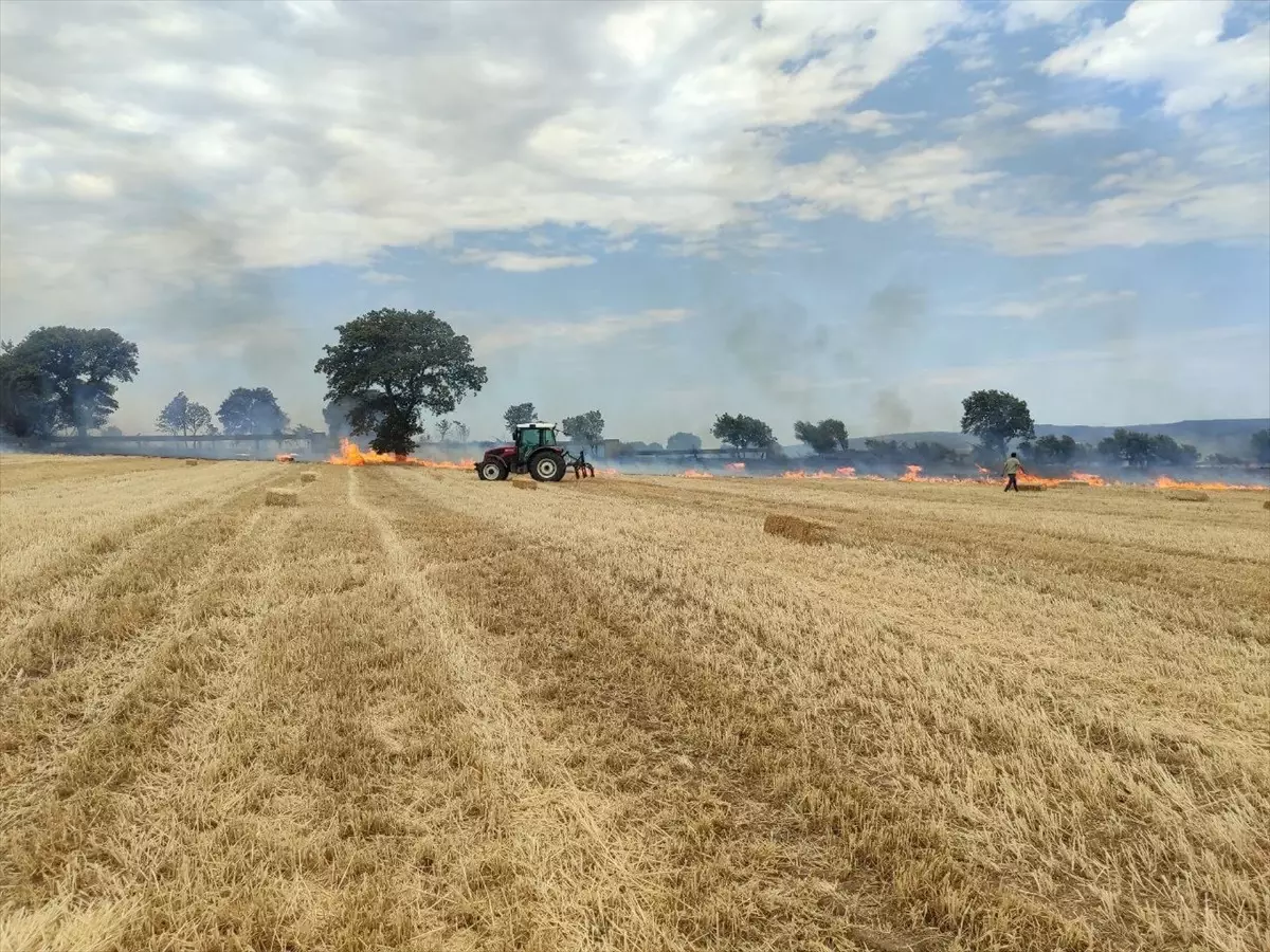 Çanakkale'de Zirai Alanda Yangın Kontrol Altına Alındı