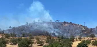 Çanakkale'de Orman Yangınına Havadan ve Karadan Müdahale