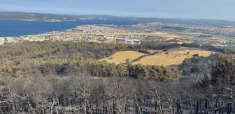 Çanakkale'de Yangınla Mücadele 2. Gününde