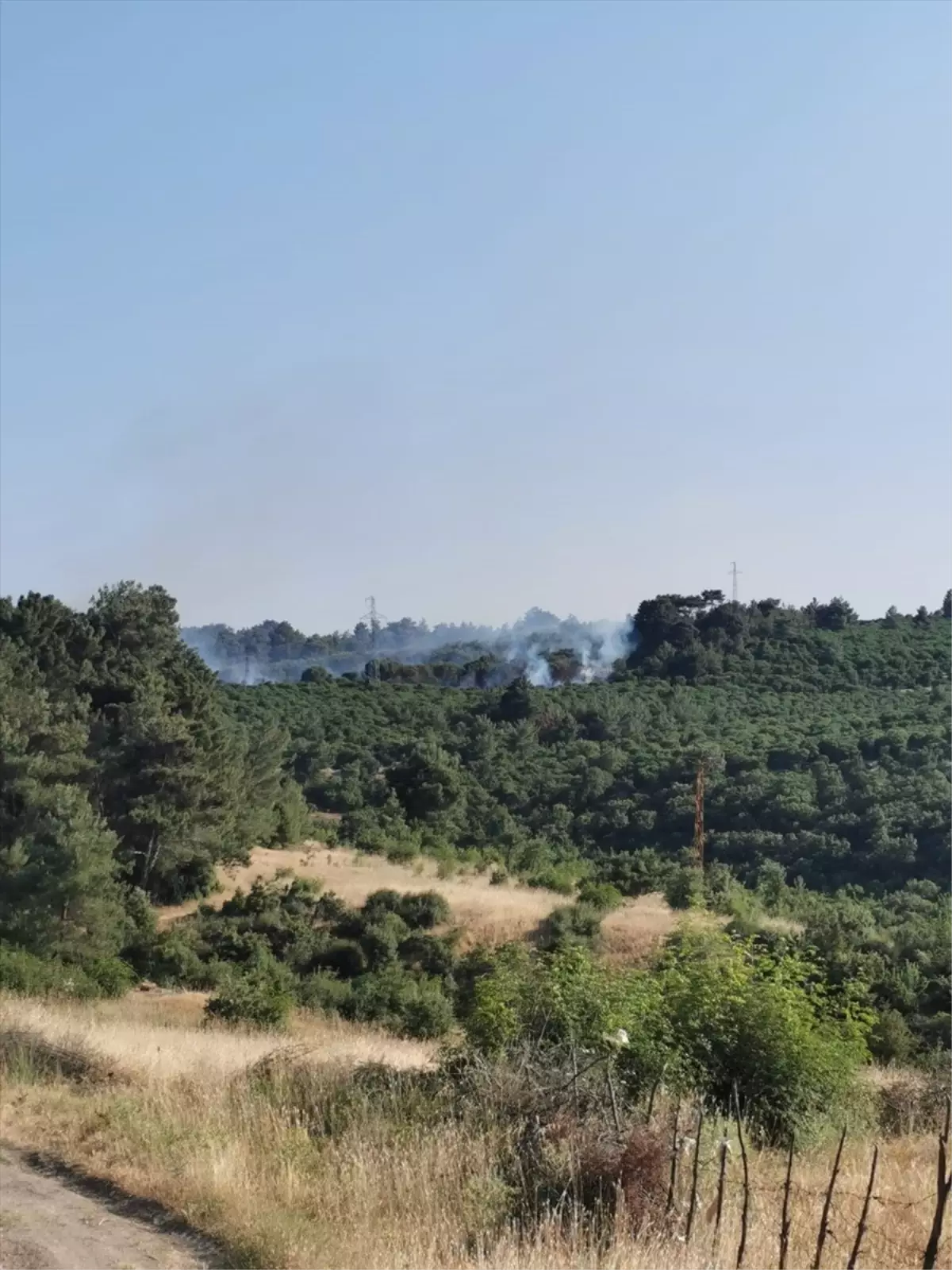 Çanakkale'nin Ayvacık İlçesinde Orman Yangını Kontrol Altına Alındı