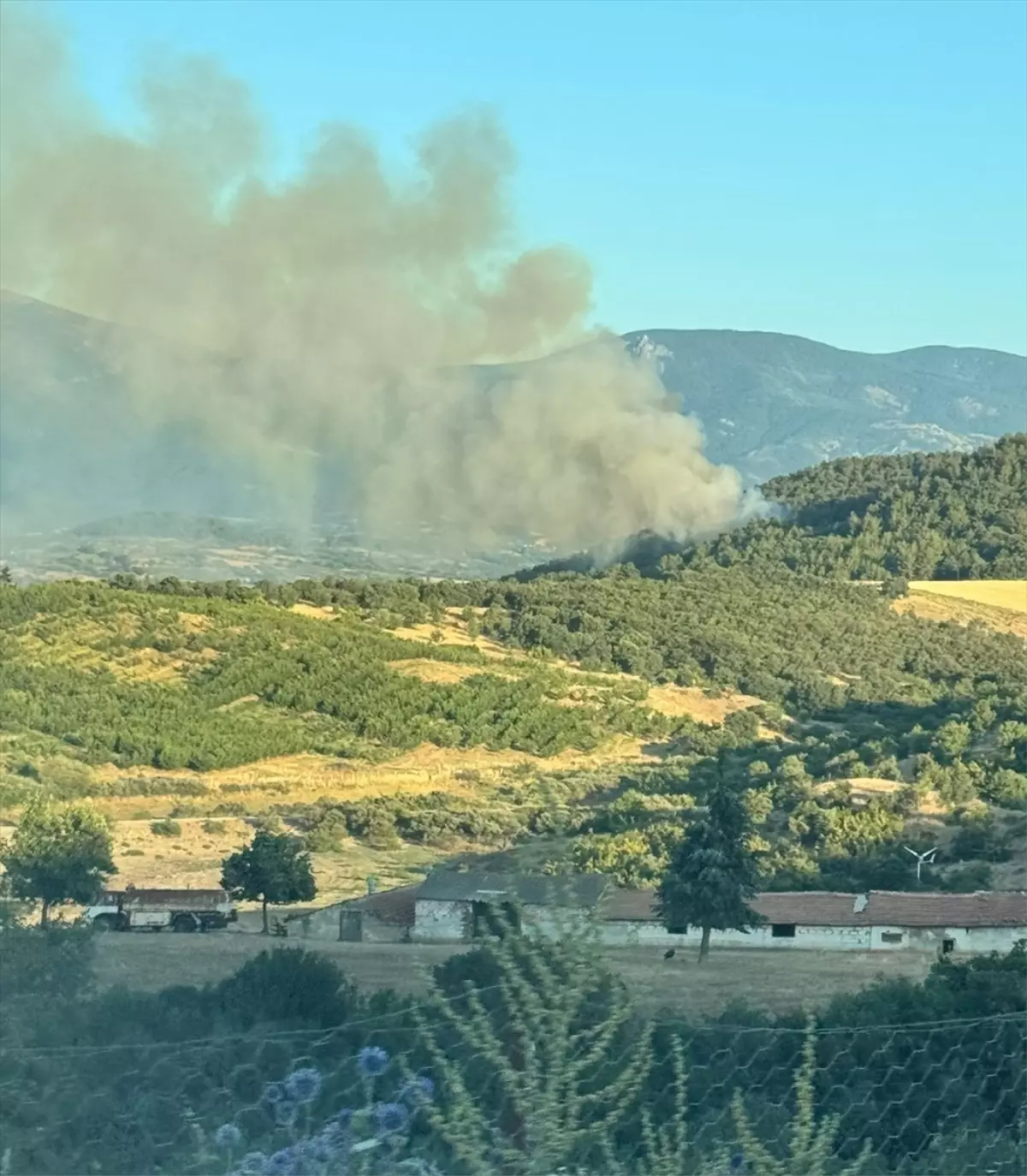 Çanakkale'nin Bayramiç İlçesinde Orman Yangını Söndürüldü
