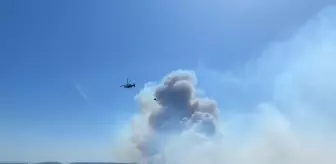 Çanakkale Ayvacık'ta Orman Yangınına Müdahale Devam Ediyor