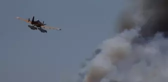 Çanakkale'de Orman Yangınına Hızlı Müdahale Başlatıldı