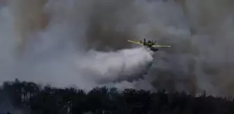 Çanakkale'de Orman Yangınına Hızlı Müdahale