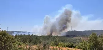 Çanakkale'de Orman Yangınına Hızla Müdahale Ediliyor