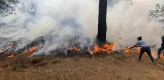 Çanakkale'de Orman Yangınına Hava ve Kara Müdahalesi