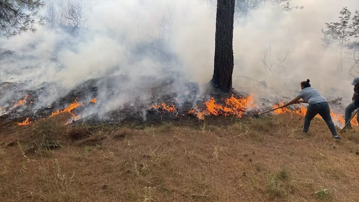 Çanakkale'de Orman Yangınına Hava ve Kara Müdahalesi