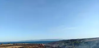 Çanakkale'de Yangın: 250 Dönüm Tarım Arazisi Zarar Gördü