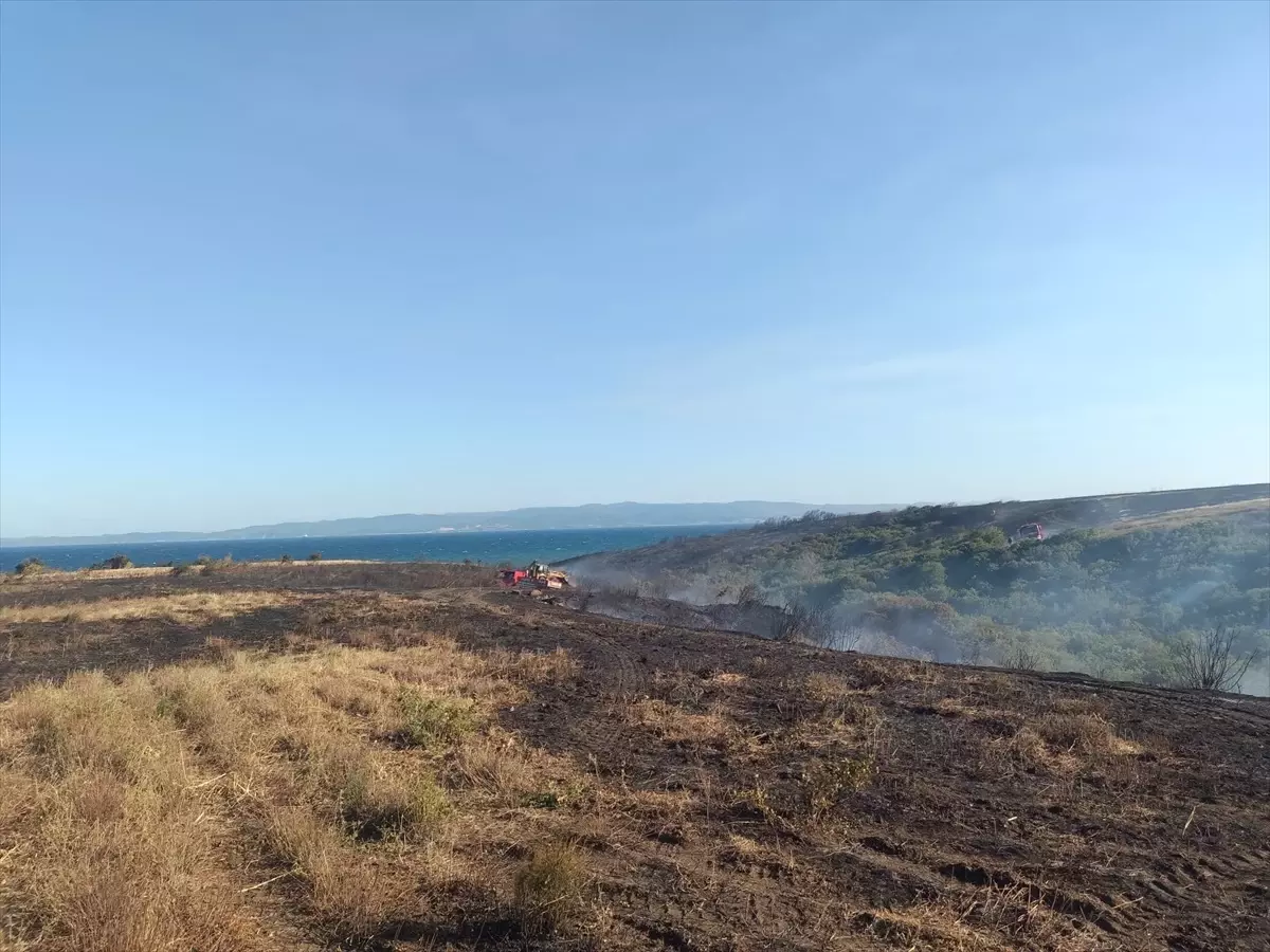 Çanakkale'de Yangın: 250 Dönüm Tarım Arazisi Zarar Gördü