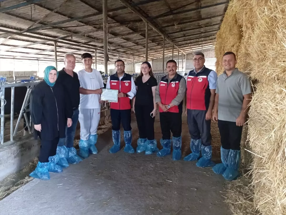 Çanakkale'de Hastalıktan Ari İşletme Sayısı 21'e Ulaştı