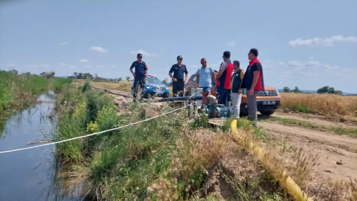 Çanakkale'de İzinsiz Çeltik Ekimi Denetimleri Sürüyor
