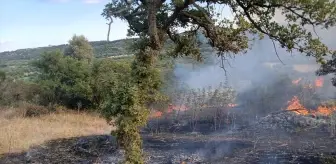 Çanakkale Ayvacık'taki Yangın Kontrol Altına Alındı