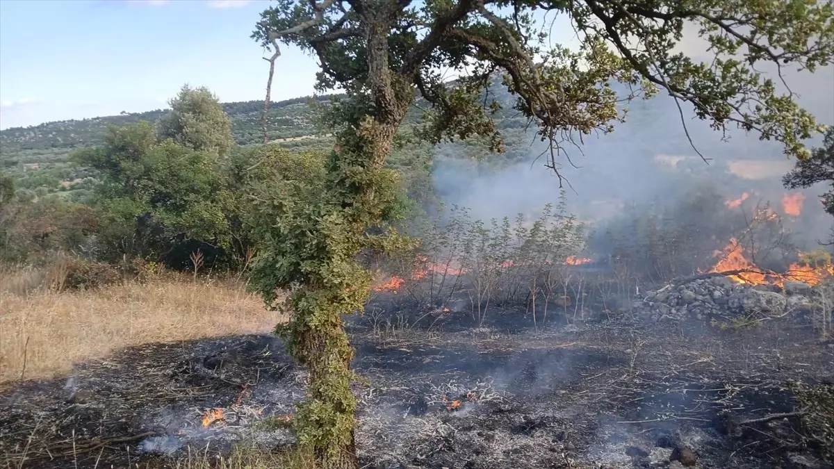 Çanakkale Ayvacık'taki Yangın Kontrol Altına Alındı