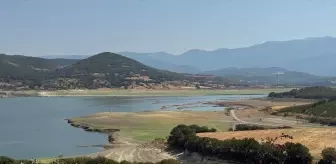 Çanakkale'de olağanüstü kuraklık hem barajlardaki suyu hem de tarımsal verimi düşürdü