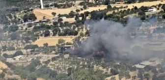 Çanakkale'de Erenköy'de Yangın Kontrol Altına Alındı