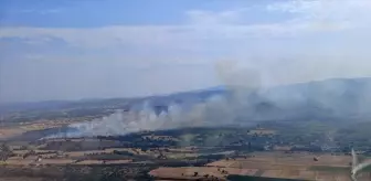 Çanakkale Biga'da Orman Dışı Alanda Yangın Çıktı