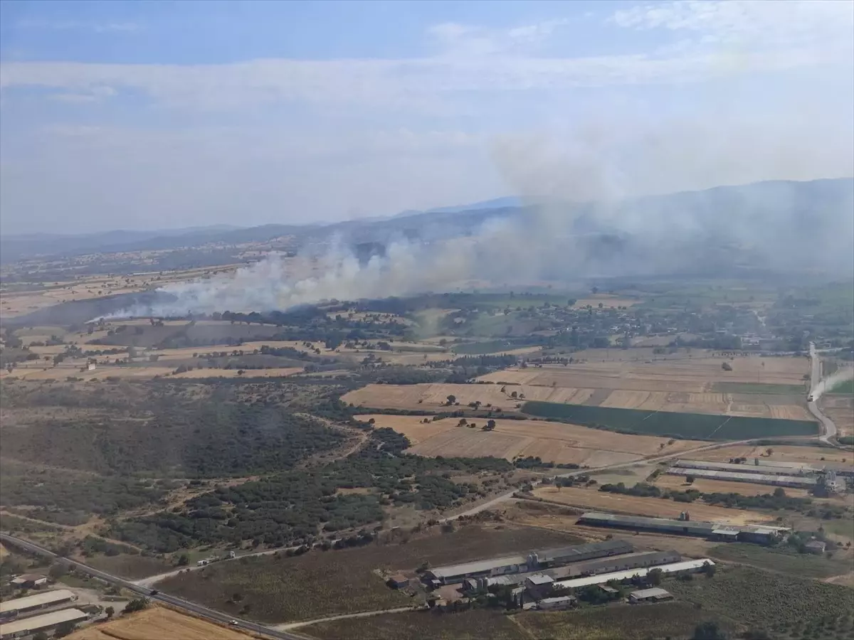 Çanakkale Biga'da Orman Dışı Alanda Yangın Çıktı
