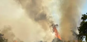 Çanakkale'nin Ezine İlçesinde Orman Yangınına Havadan ve Karadan Mücadele