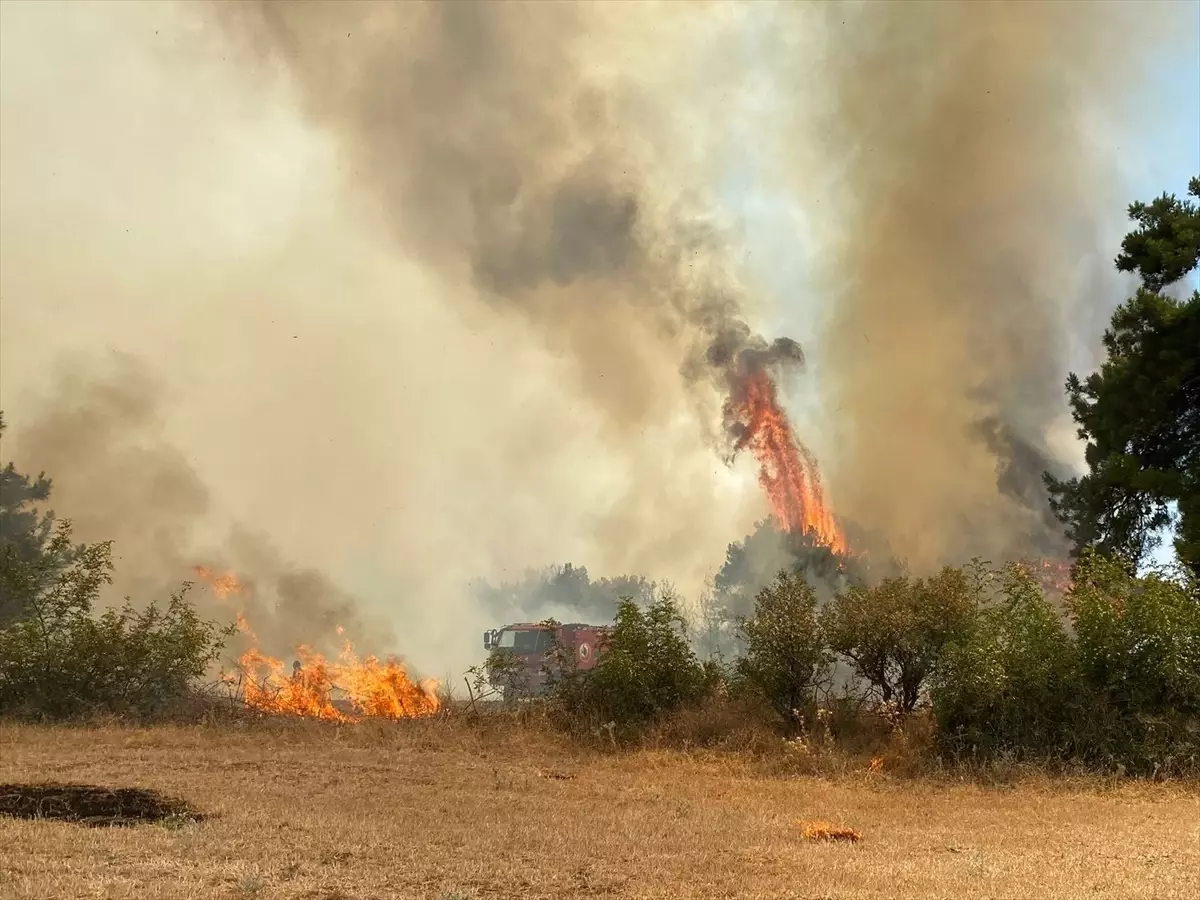 Çanakkale'nin Ezine İlçesinde Orman Yangınına Havadan ve Karadan Mücadele