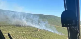 Çanakkale'de Tarım Arazisinden Ormanlık Alana Sıçrayan Yangına Müdahale Devam Ediyor