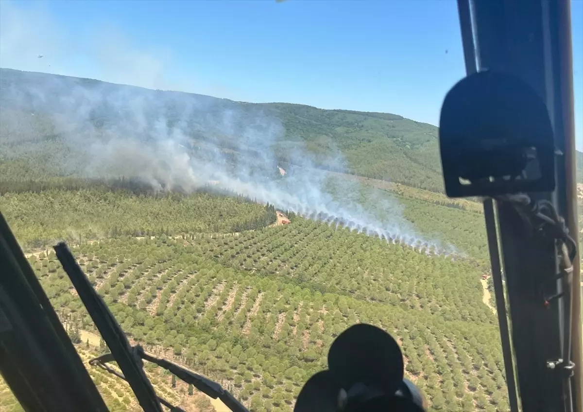 Çanakkale'de Tarım Arazisinden Ormanlık Alana Sıçrayan Yangına Müdahale Devam Ediyor