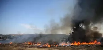 Çanakkale'de Otluk Alanda Yangın Kontrol Altına Alındı