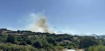 Çanakkale'de Tarım Alanında Yangın Çıktı