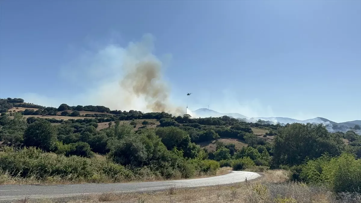 Çanakkale'de Tarım Alanında Yangın Çıktı
