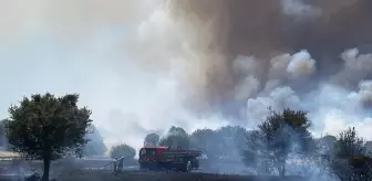 Çanakkale'nin Ezine İlçesinde Tarım Arazisinde Yangın