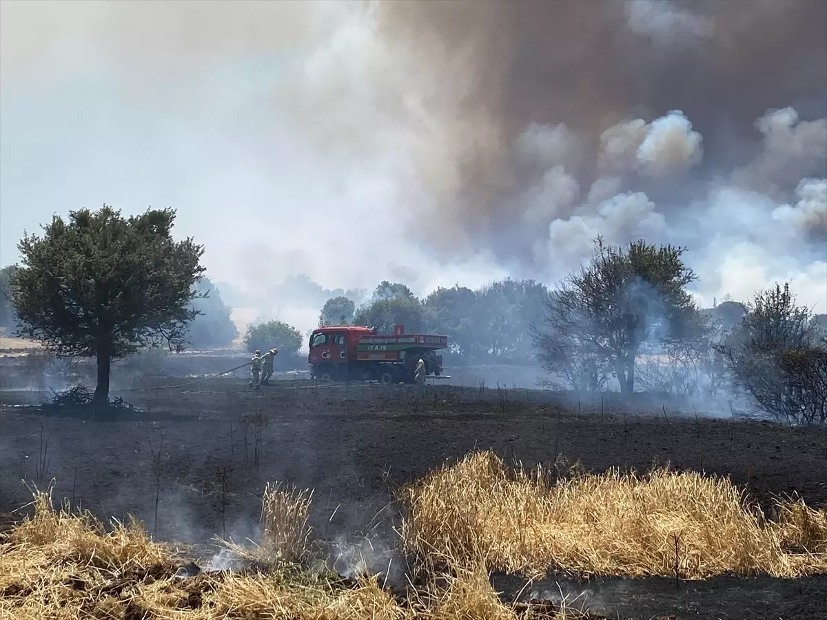 Çanakkale'nin Ezine İlçesinde Tarım Arazisinde Yangın