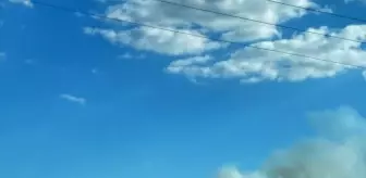 Çanakkale'de Tarım Arazisinde Çıkan Yangın Ormana Sıçradı