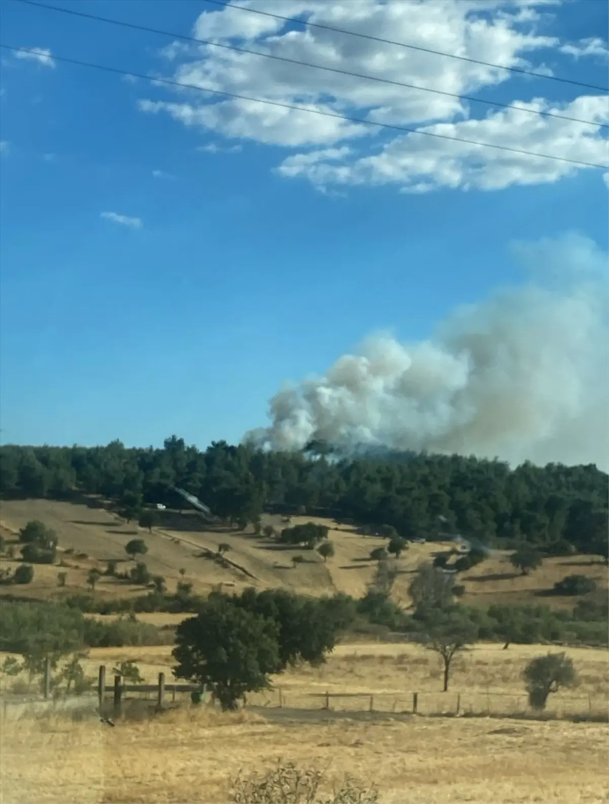 Çanakkale'de Tarım Arazisinde Çıkan Yangın Ormana Sıçradı
