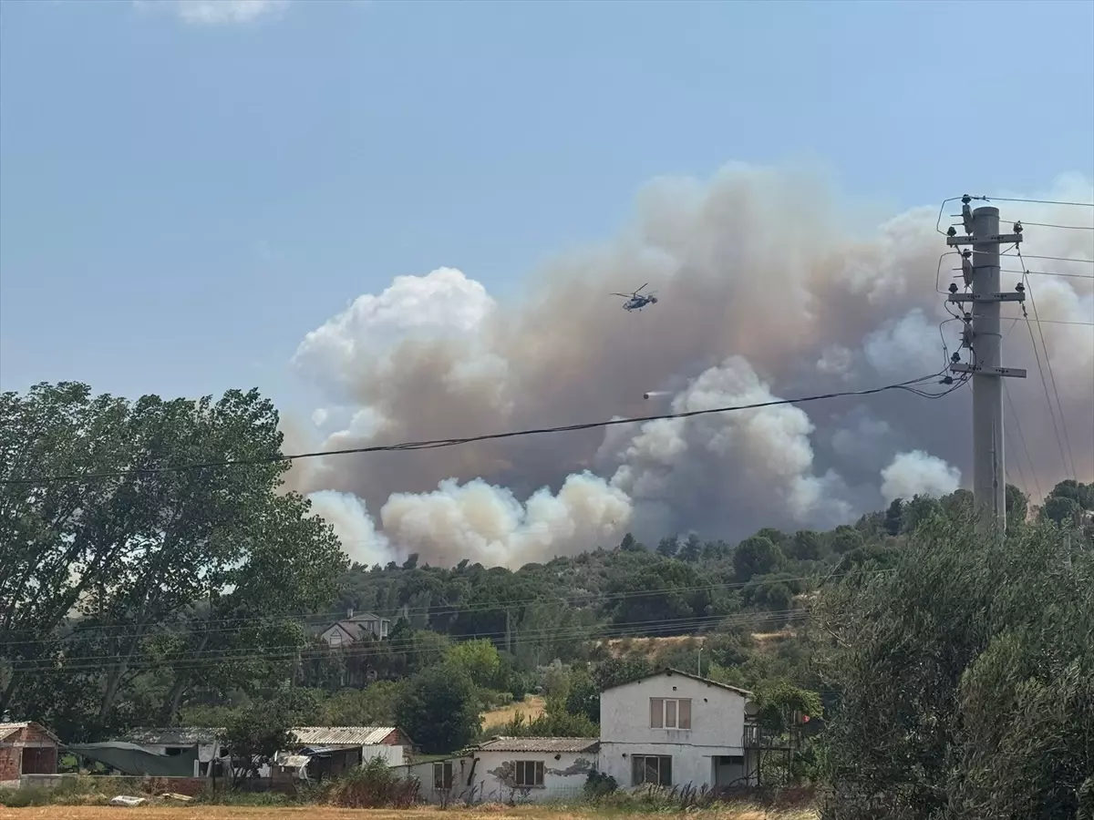 Çanakkale'de Tarım Arazisinde Yangın! Ormanlık Alana Sıçradı
