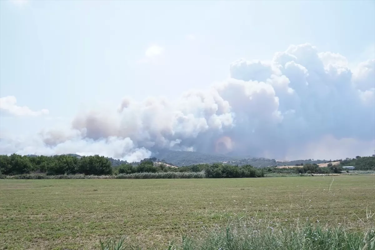 Çanakkale'de Tarım Arazisinden Ormanlık Alana Sıçrayan Yangına Müdahale Devam Ediyor
