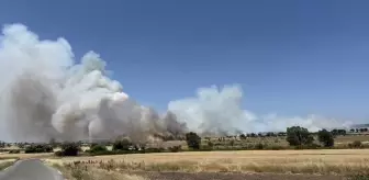 Çanakkale'de Tarım Arazisinde Yangın Kontrol Altına Alındı